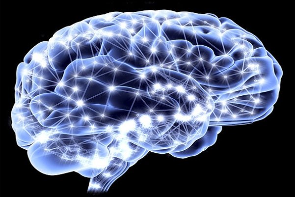 گام مهم محققان برای بهبودی بیماران سکته مغزی/ رصد مغز در دو محیط