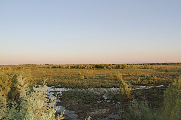 رد پای موفقیت در ترویج کشاورزی پایدار پیرامون دریاچه ارومیه