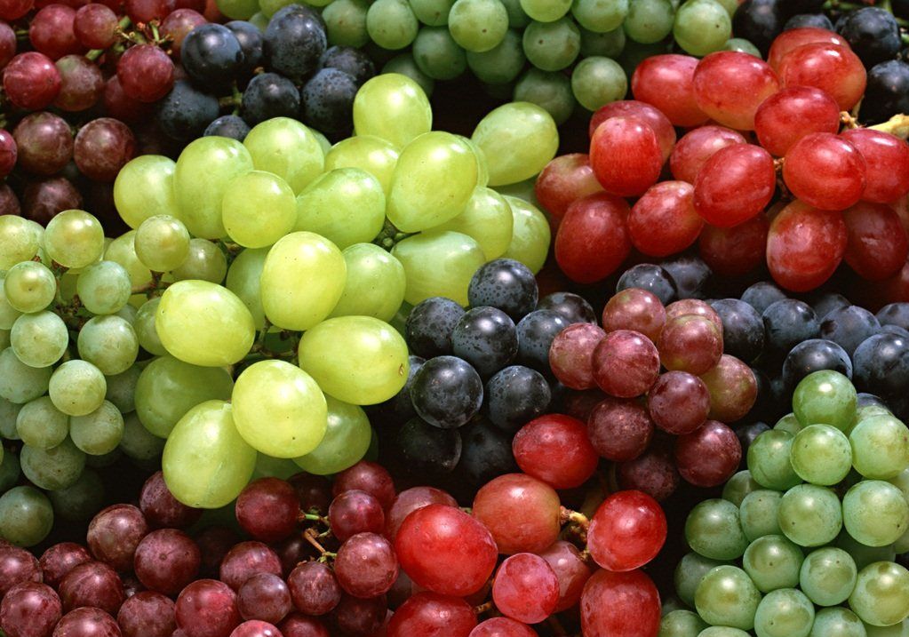 مصرف انگور قرمز ریسک ابتلا به آسم را کم می کند