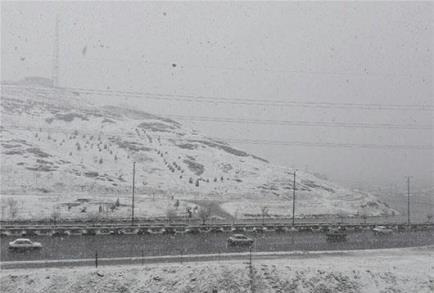 برف و باران نیمه شمالی کشور را فرا گرفت/ تهران سفید پوش شد