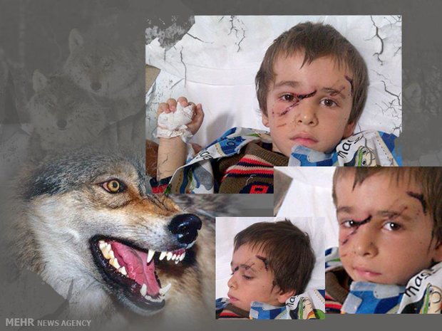 حمله حیوان وحشی به ۱۰نفر دریک روز + عکس
