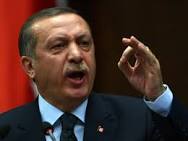 انتقاد اردوغان از تمرکز قدرت در شورای امنیت