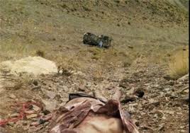 سقوط ۳ خودرو به دره در جاده کازرون – بوشهر/ ۵ کشته