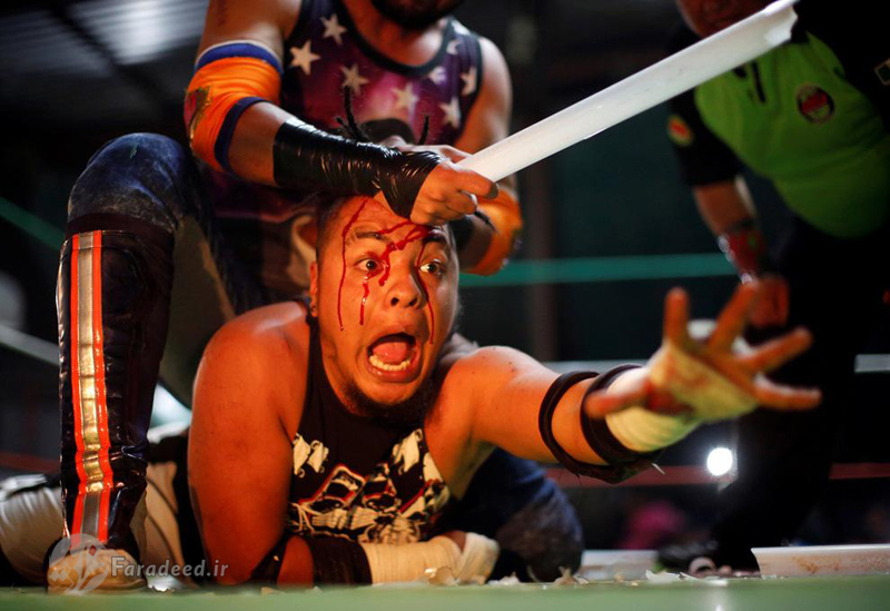 تصاویر/ خشونت بی‌سابقه در کشتی‌کج مکزیکی