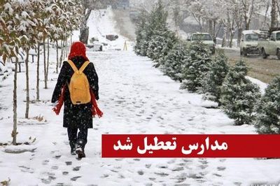 تمامی مدارس تهران در نوبت عصر تعطیل شد