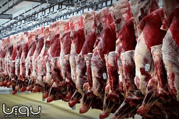 علت افزایش قیمت گوشت قرمز چیست ؟